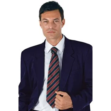 Cravatta classica regimental