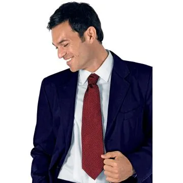 Cravatta classica in seta